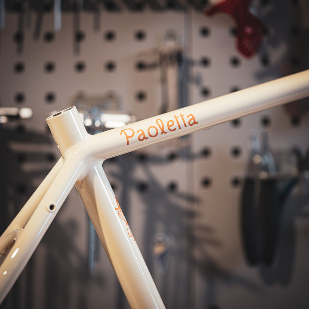 Massacan Paulette Gravel Bike Frameset