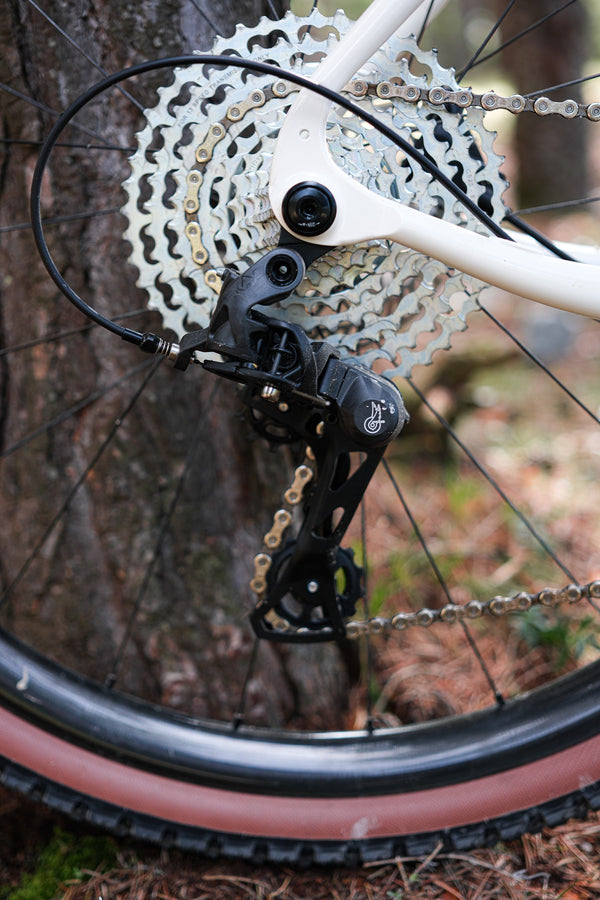 22 massacan paula campagnolo