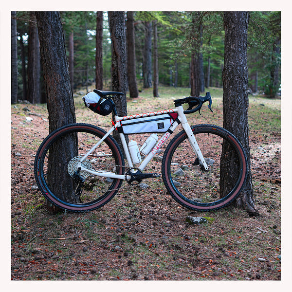 Le groupe Campagnolo Ekar GT