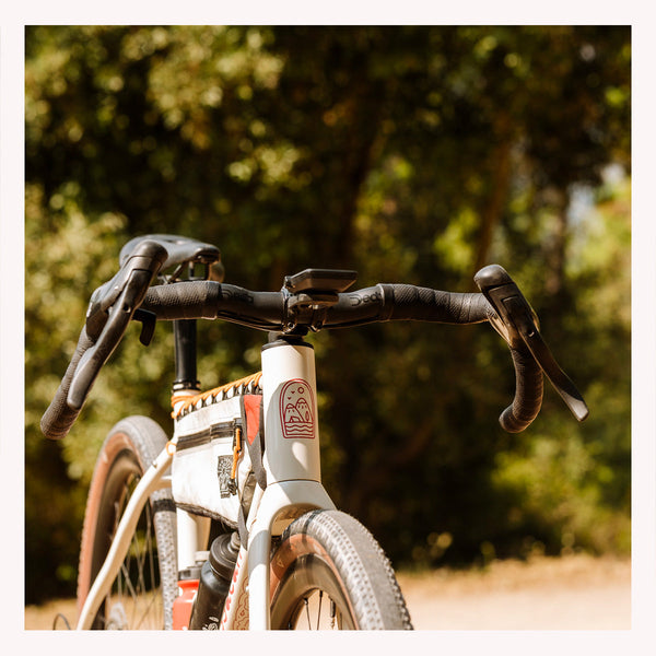 Quel cockpit pour Paula ?