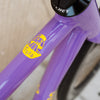 Massacan Fissa Fixed Gear Bike