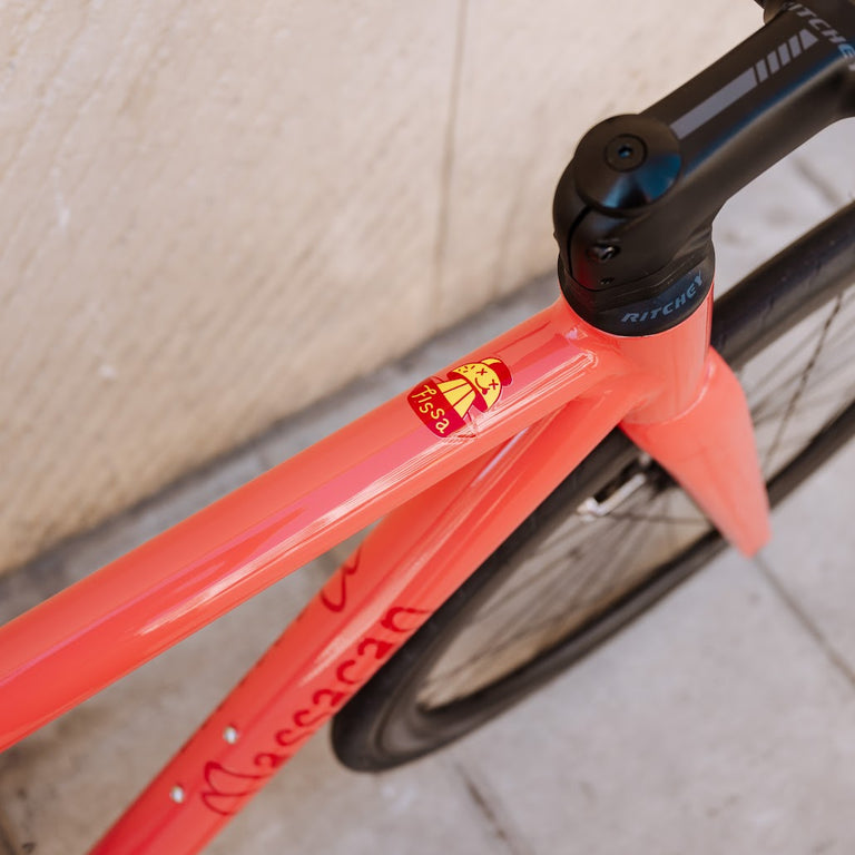 Fissa   custom   framboise   8