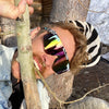 Lunettes Pit Viper The 2000